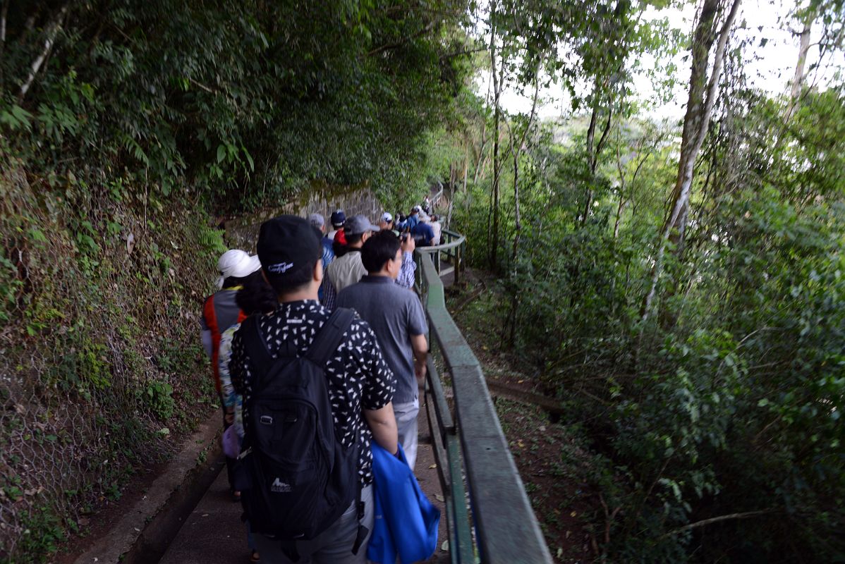 12 Narrow Trail From Hotel Das Cataratas Towards Brazil Iguazu Falls
